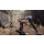 Dying Light 2 Xbox One - 656826 - zdjęcie 5